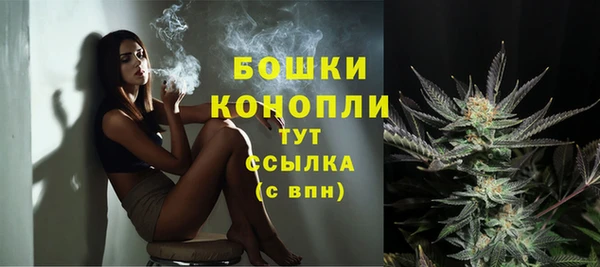 амф Липки