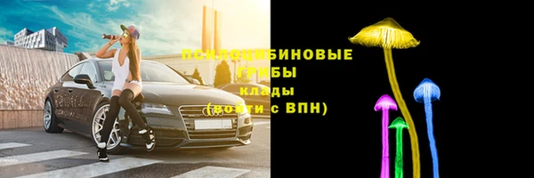 амф Липки