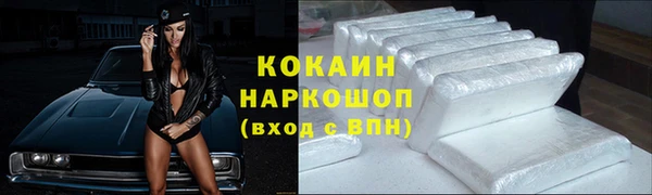 шишки Заводоуковск